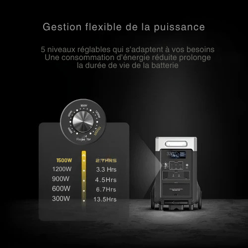 Fluxon